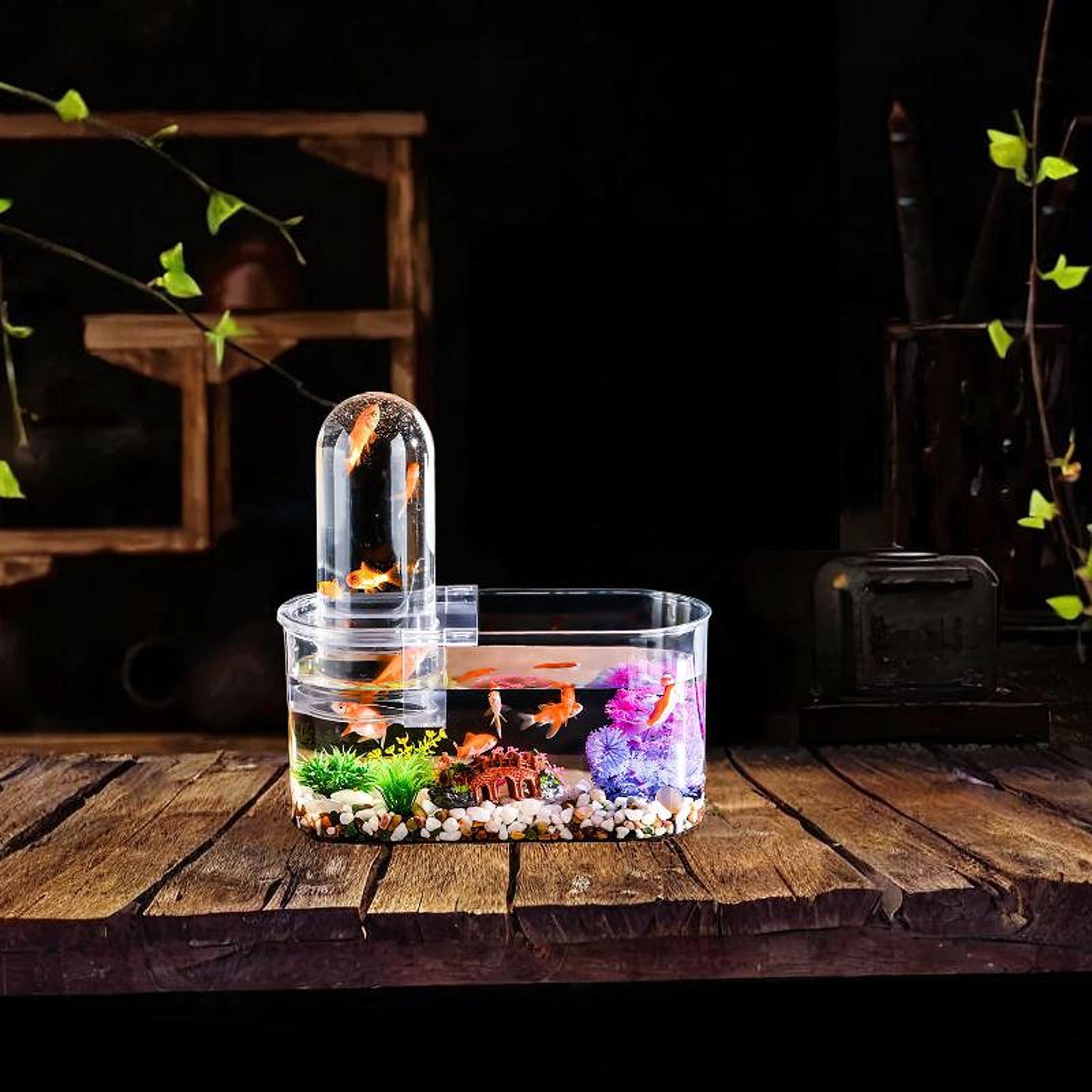 Home Decor Habitat - ミニ水槽 丈夫で通気孔付き 両生類給餌ボックス 蓋付き 生息地用ボックス リビングルーム