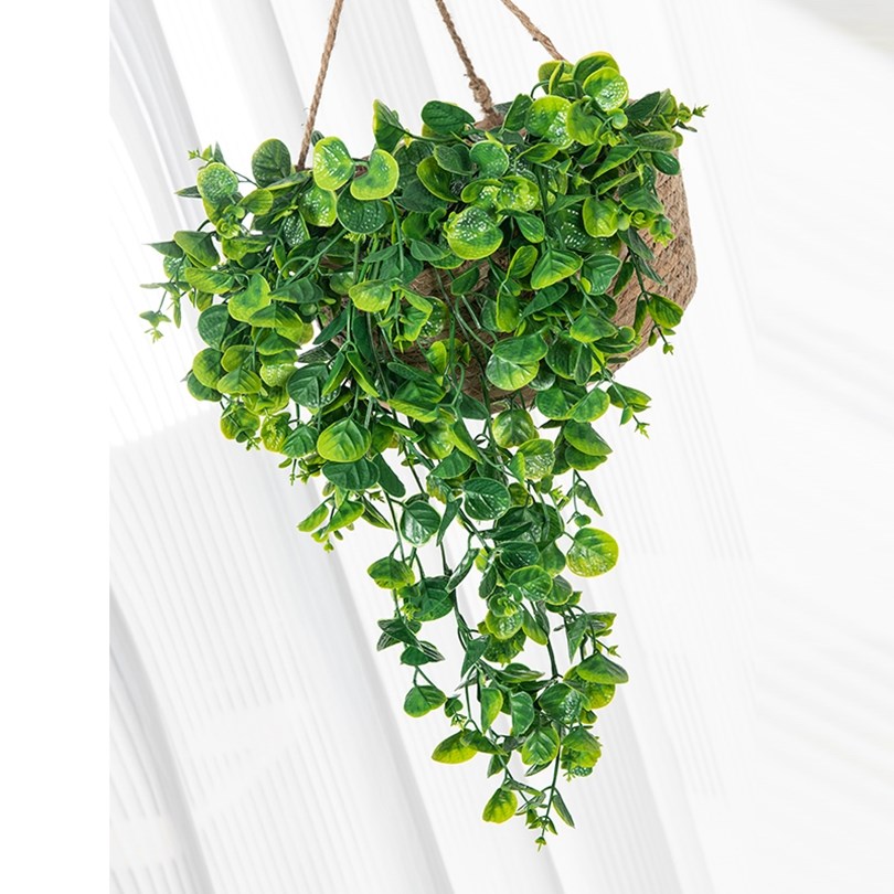 ユーカリの葉と籐の人工プラスチック製植物、家の壁掛け、パーテ - Rattan Plant Basket のレビューと価格