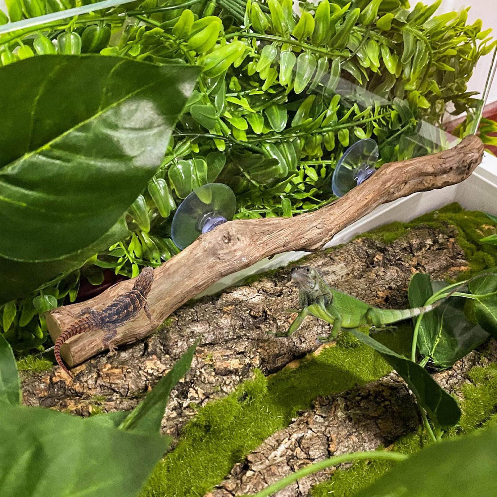 木製スネーククライミングブランチ、爬虫類用クライミングコーナ - Home Decor Habitat のレビューと価格