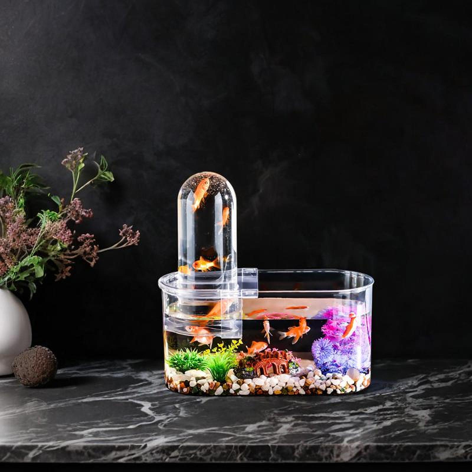 ミニ水槽 丈夫で通気孔付き 両生類給餌ボックス 蓋付き 生息 - Home Decor Habitat のレビューと価格