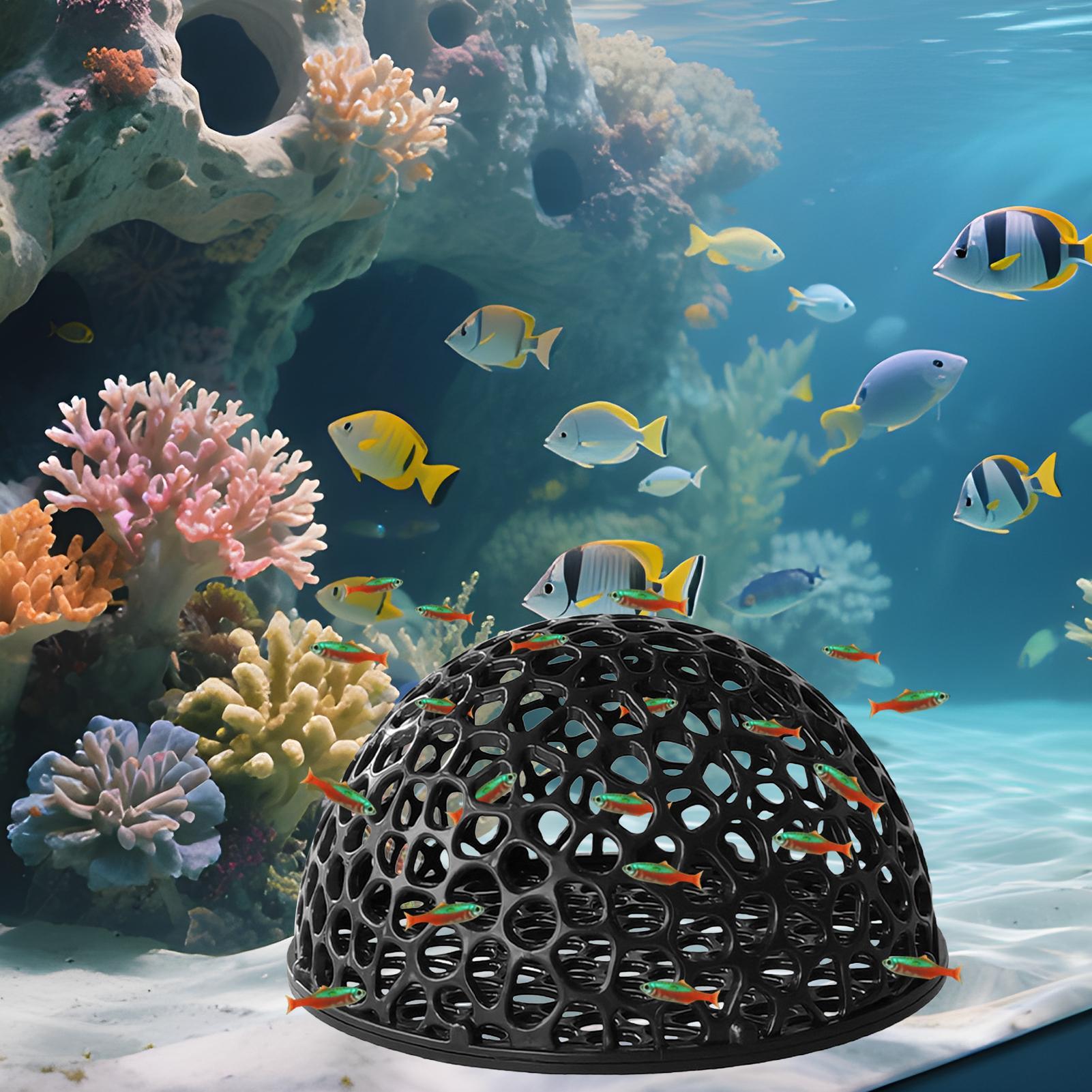 エビの隠れ家、繁殖用隠れ家、エビ、小魚用洞窟、隠れ道具、用品 - Home Decor Habitat のレビューと価格
