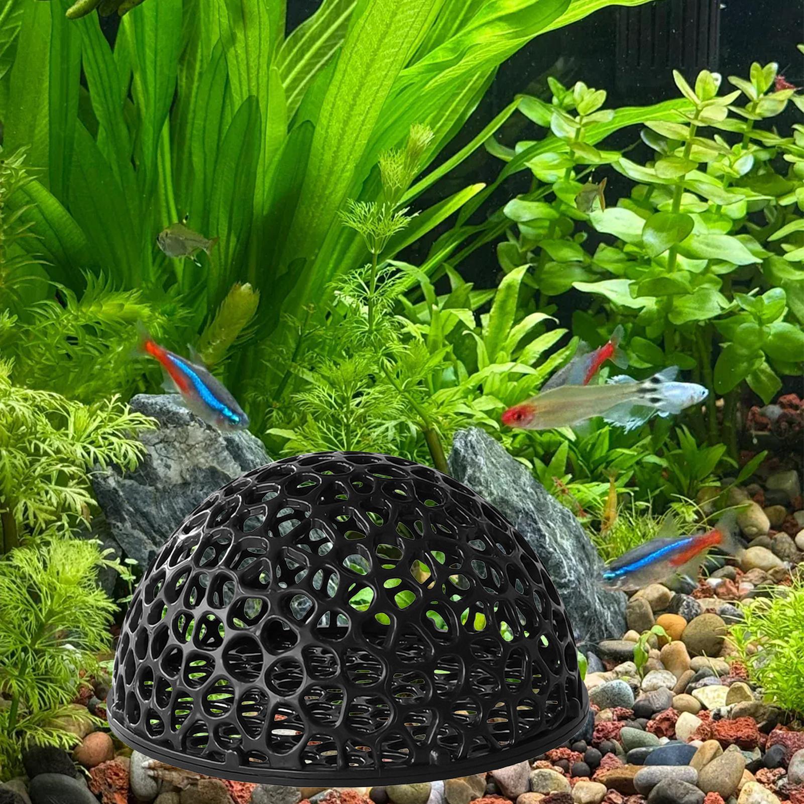 エビの繁殖洞窟水槽 エビの隠れ家 水槽装飾 隠れ道具用品 ベ - Home Decor Habitat のレビューと価格
