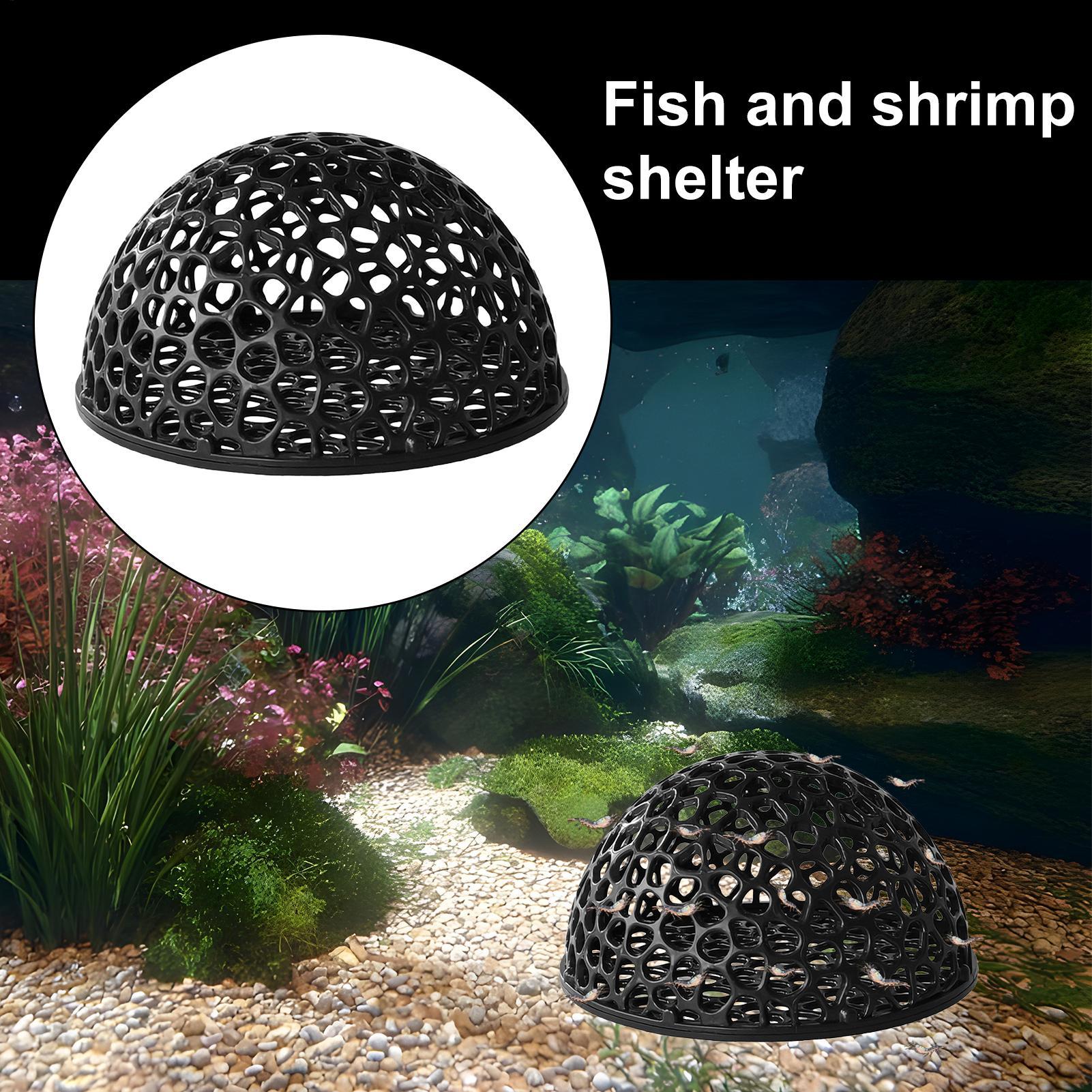 エビの繁殖洞窟水槽 エビの隠れ家 水槽装飾 隠れ道具用品 ベ - Home Decor Habitat のレビューと価格